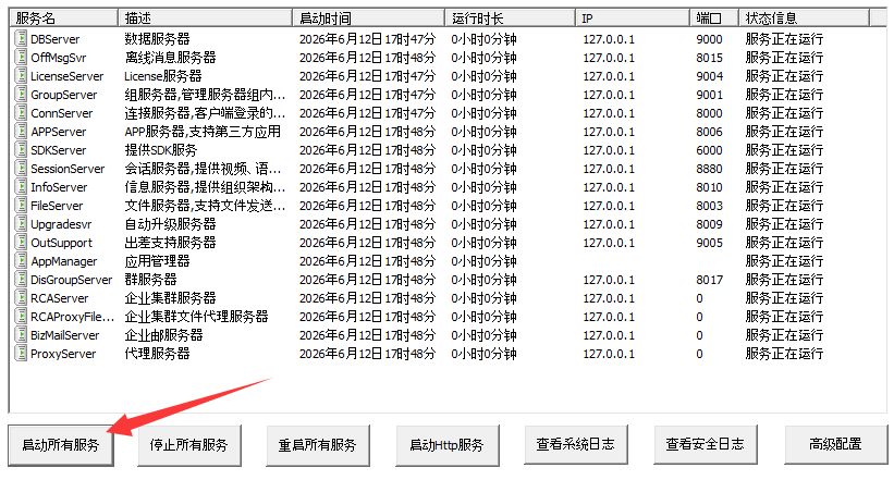 启动服务并检查状态